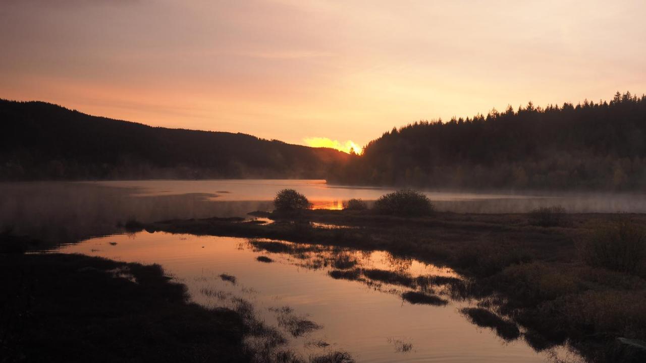 C3 Albmatte-Fewo Sauna, Hallenbad Aussenbecken Massagen Nebenan St. Blasien Exteriér fotografie