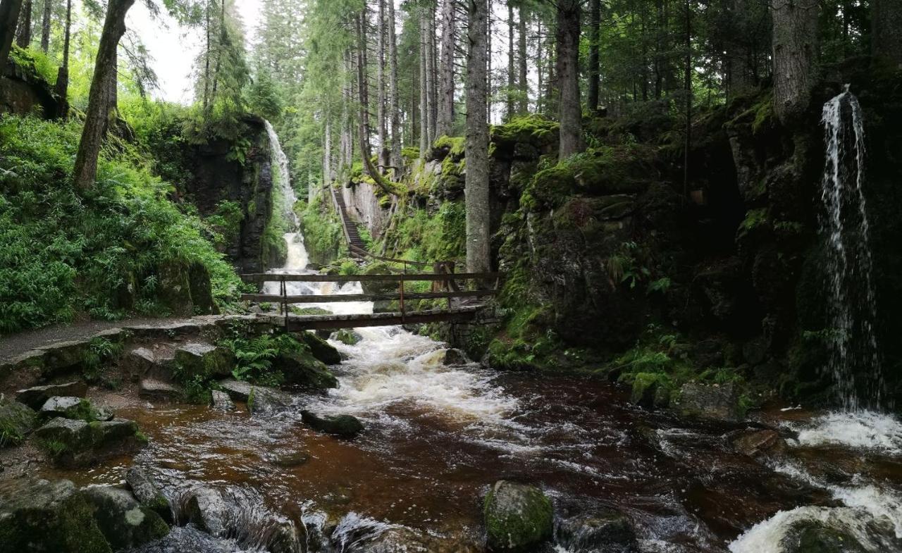 C3 Albmatte-Fewo Sauna, Hallenbad Aussenbecken Massagen Nebenan St. Blasien Exteriér fotografie