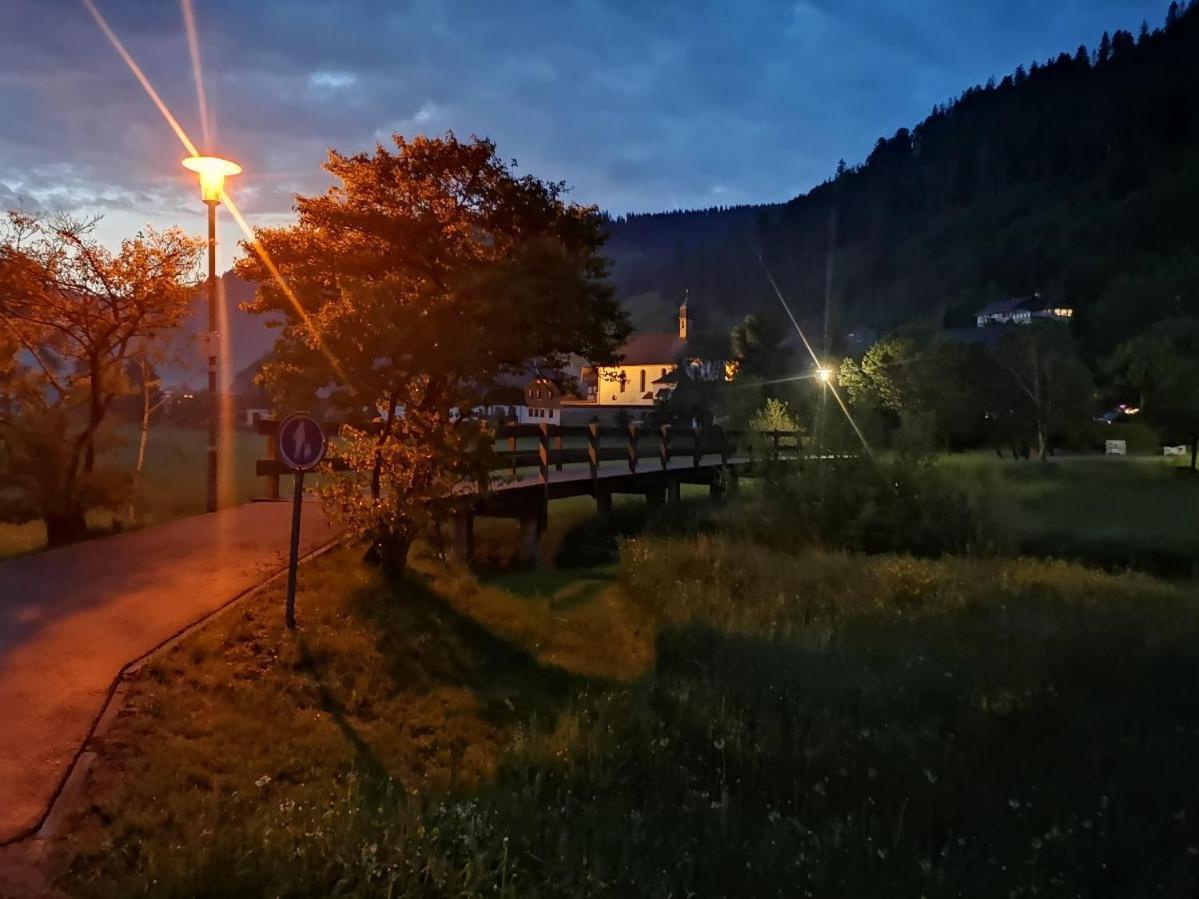 C3 Albmatte-Fewo Sauna, Hallenbad Aussenbecken Massagen Nebenan St. Blasien Exteriér fotografie