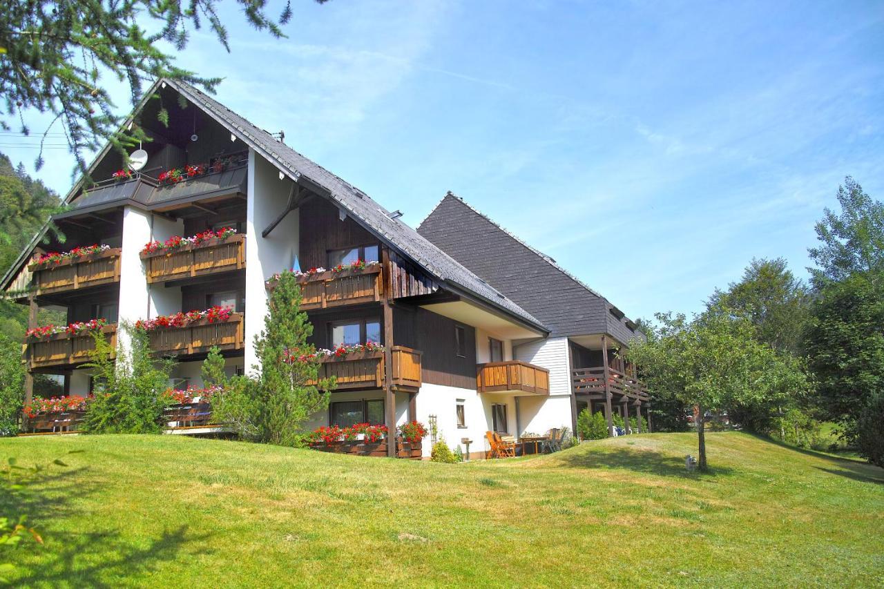 C3 Albmatte-Fewo Sauna, Hallenbad Aussenbecken Massagen Nebenan St. Blasien Exteriér fotografie