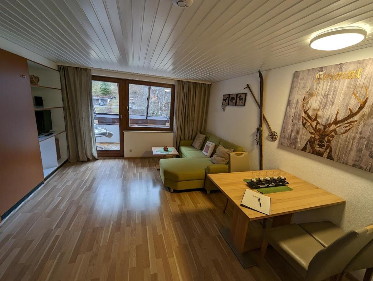C3 Albmatte-Fewo Sauna, Hallenbad Aussenbecken Massagen Nebenan St. Blasien Exteriér fotografie