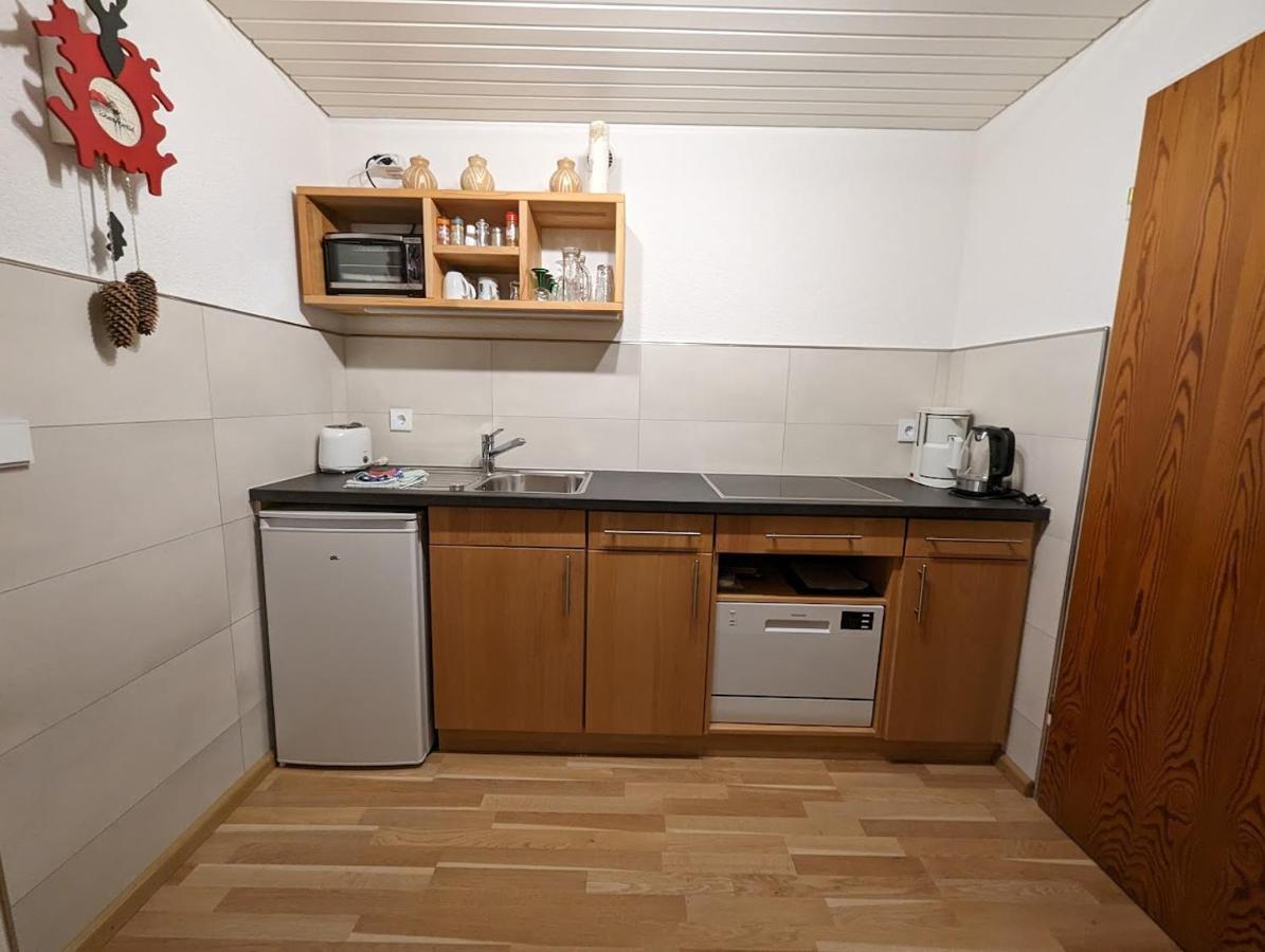 C3 Albmatte-Fewo Sauna, Hallenbad Aussenbecken Massagen Nebenan St. Blasien Exteriér fotografie