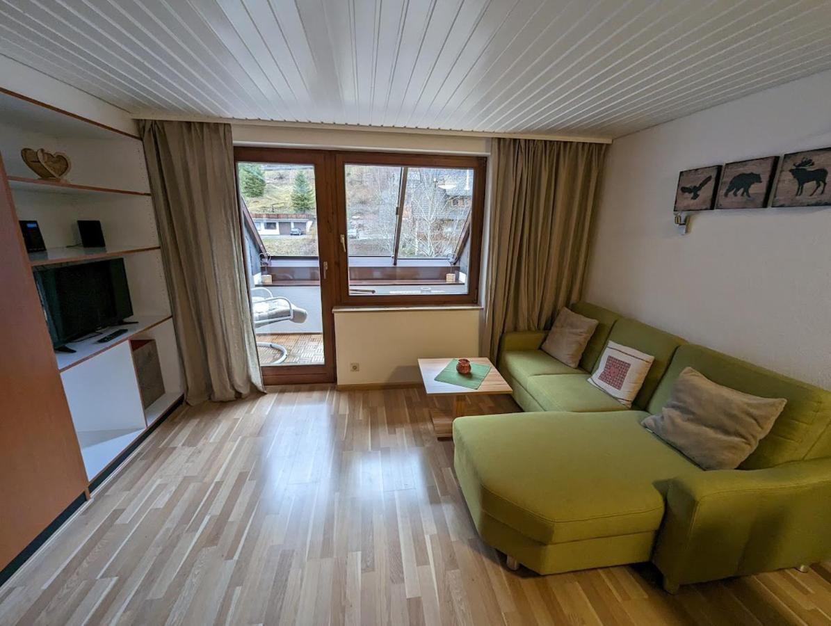 C3 Albmatte-Fewo Sauna, Hallenbad Aussenbecken Massagen Nebenan St. Blasien Exteriér fotografie