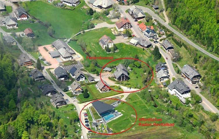 C3 Albmatte-Fewo Sauna, Hallenbad Aussenbecken Massagen Nebenan St. Blasien Exteriér fotografie