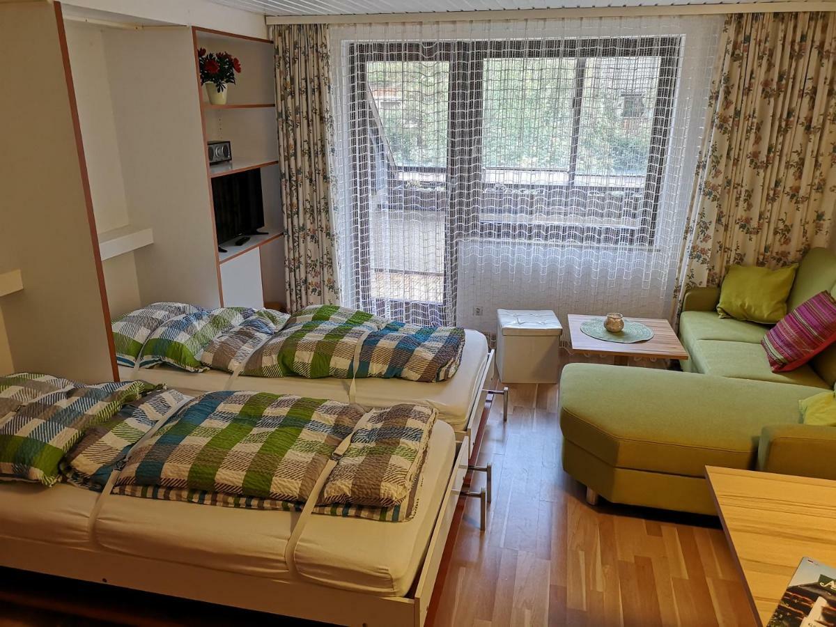C3 Albmatte-Fewo Sauna, Hallenbad Aussenbecken Massagen Nebenan St. Blasien Exteriér fotografie