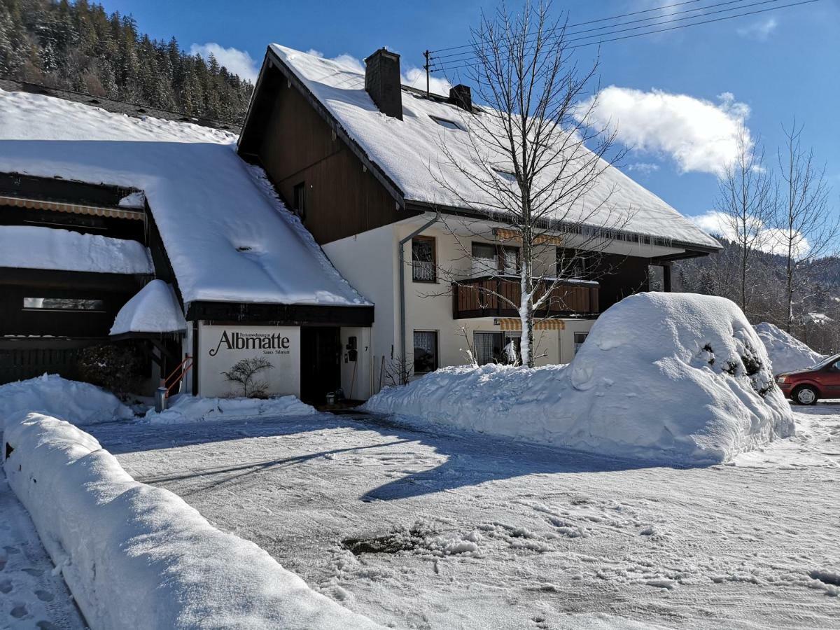 C3 Albmatte-Fewo Sauna, Hallenbad Aussenbecken Massagen Nebenan St. Blasien Exteriér fotografie