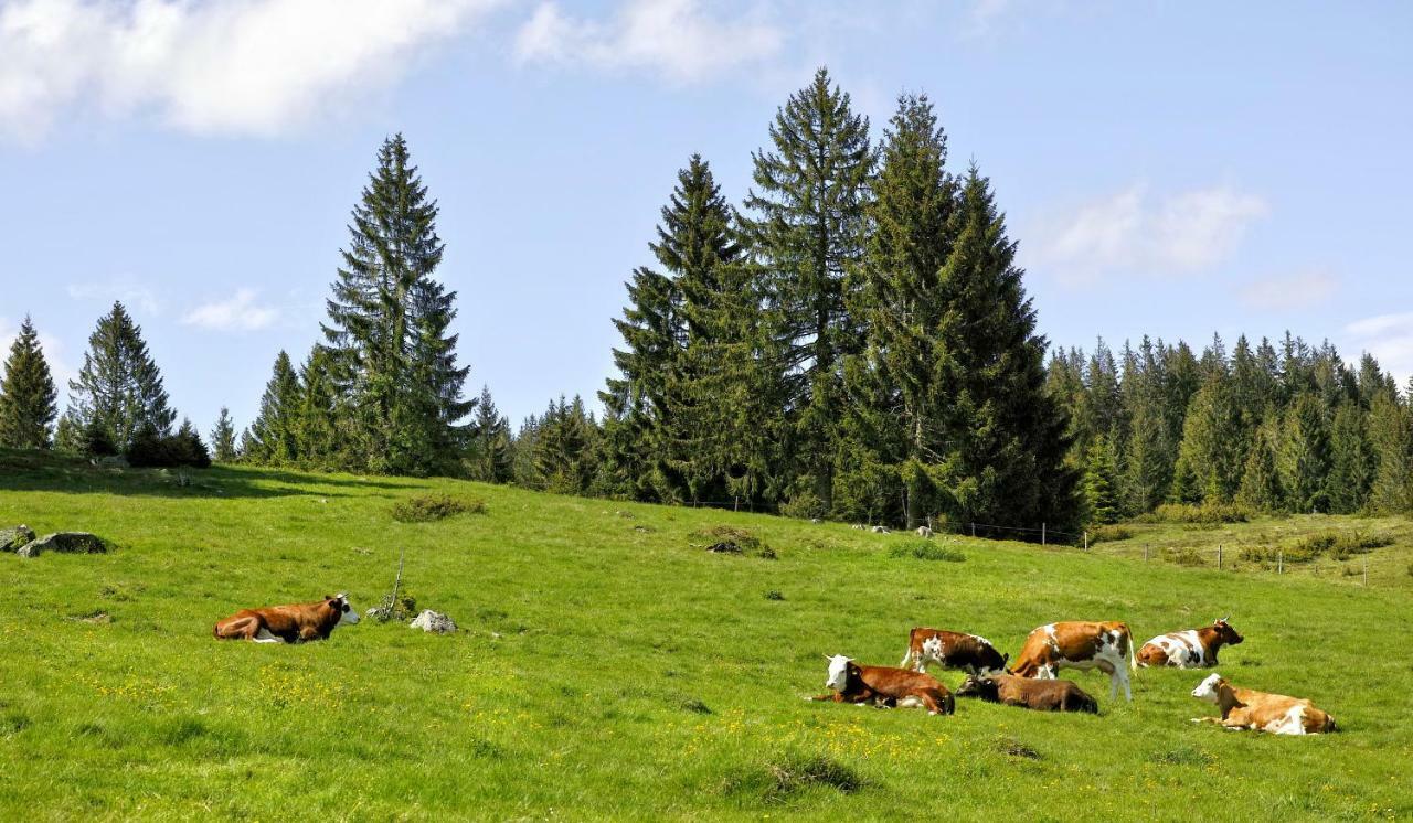 C3 Albmatte-Fewo Sauna, Hallenbad Aussenbecken Massagen Nebenan St. Blasien Exteriér fotografie
