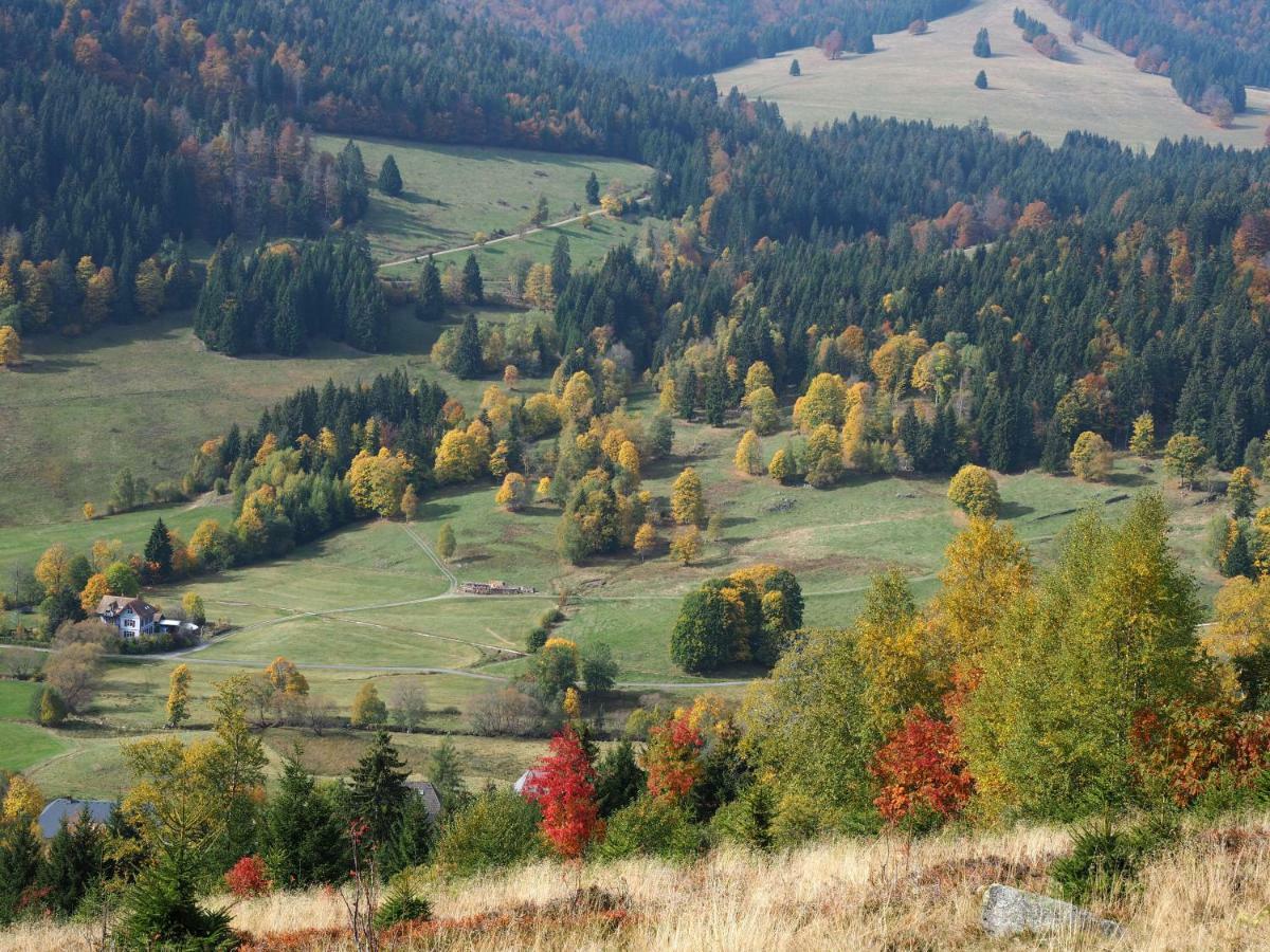 C3 Albmatte-Fewo Sauna, Hallenbad Aussenbecken Massagen Nebenan St. Blasien Exteriér fotografie