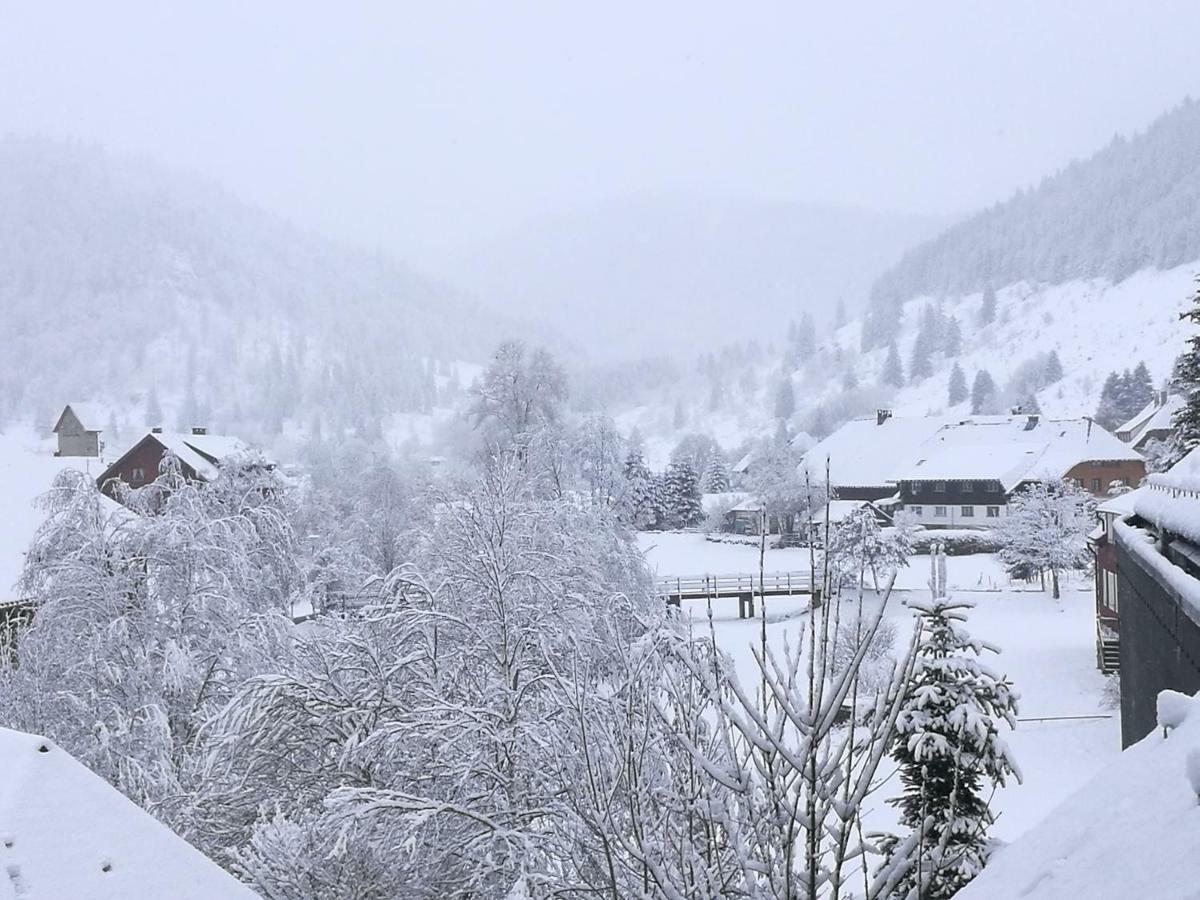 C3 Albmatte-Fewo Sauna, Hallenbad Aussenbecken Massagen Nebenan St. Blasien Exteriér fotografie