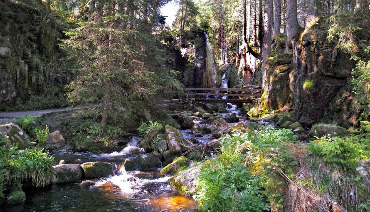C3 Albmatte-Fewo Sauna, Hallenbad Aussenbecken Massagen Nebenan St. Blasien Exteriér fotografie