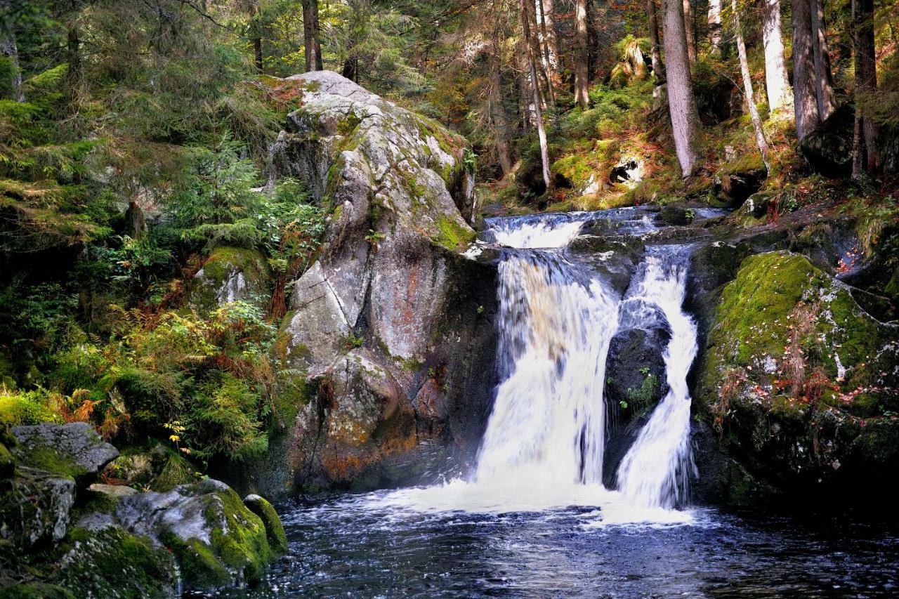 C3 Albmatte-Fewo Sauna, Hallenbad Aussenbecken Massagen Nebenan St. Blasien Exteriér fotografie