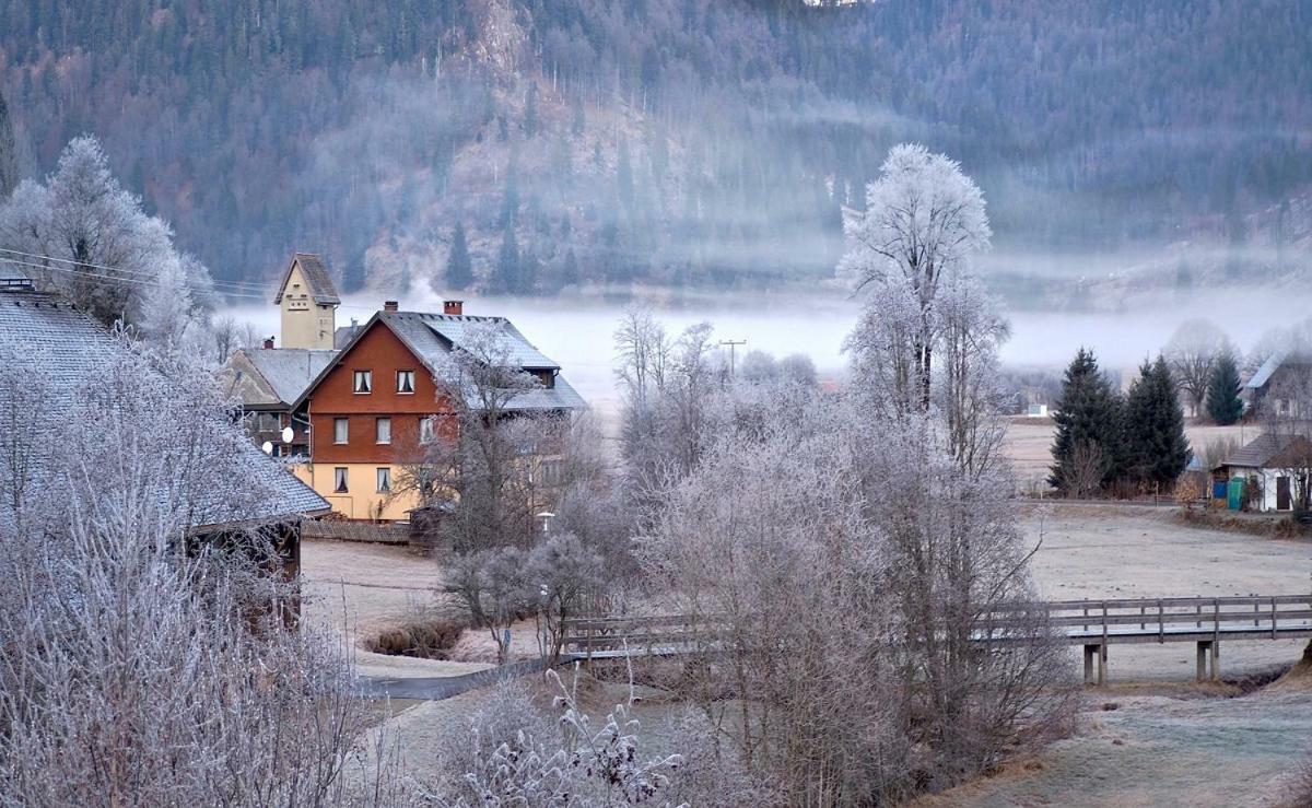 C3 Albmatte-Fewo Sauna, Hallenbad Aussenbecken Massagen Nebenan St. Blasien Exteriér fotografie