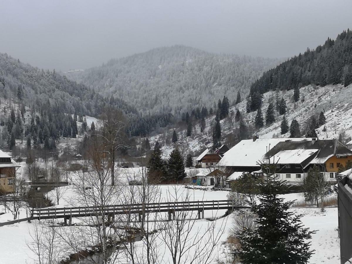 C3 Albmatte-Fewo Sauna, Hallenbad Aussenbecken Massagen Nebenan St. Blasien Exteriér fotografie