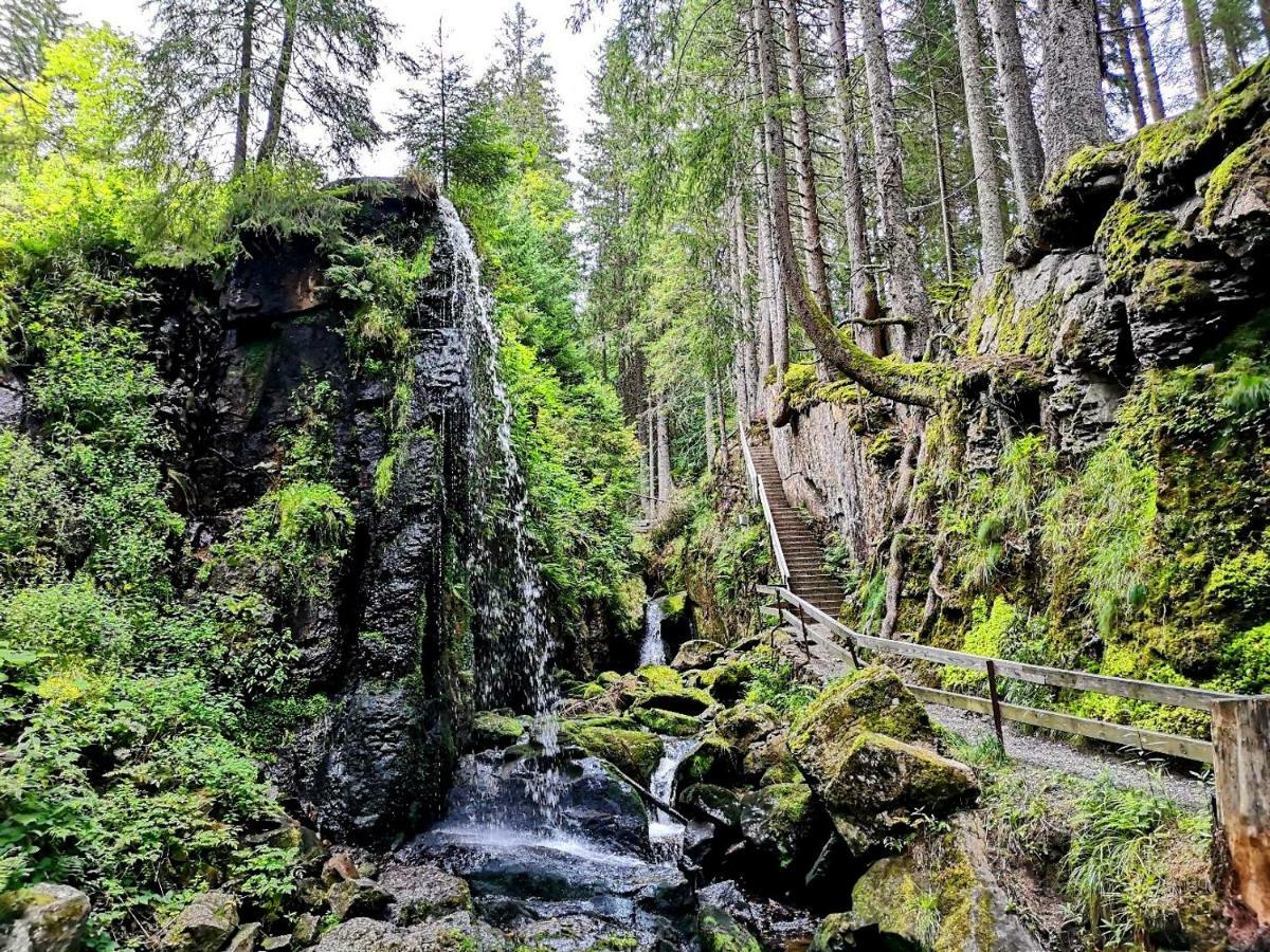 C3 Albmatte-Fewo Sauna, Hallenbad Aussenbecken Massagen Nebenan St. Blasien Exteriér fotografie