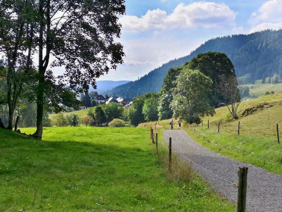 C3 Albmatte-Fewo Sauna, Hallenbad Aussenbecken Massagen Nebenan St. Blasien Exteriér fotografie