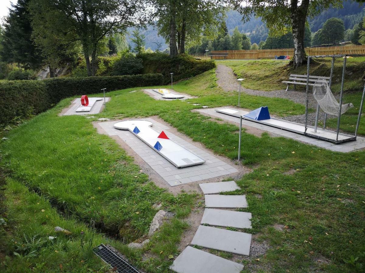 C3 Albmatte-Fewo Sauna, Hallenbad Aussenbecken Massagen Nebenan St. Blasien Exteriér fotografie
