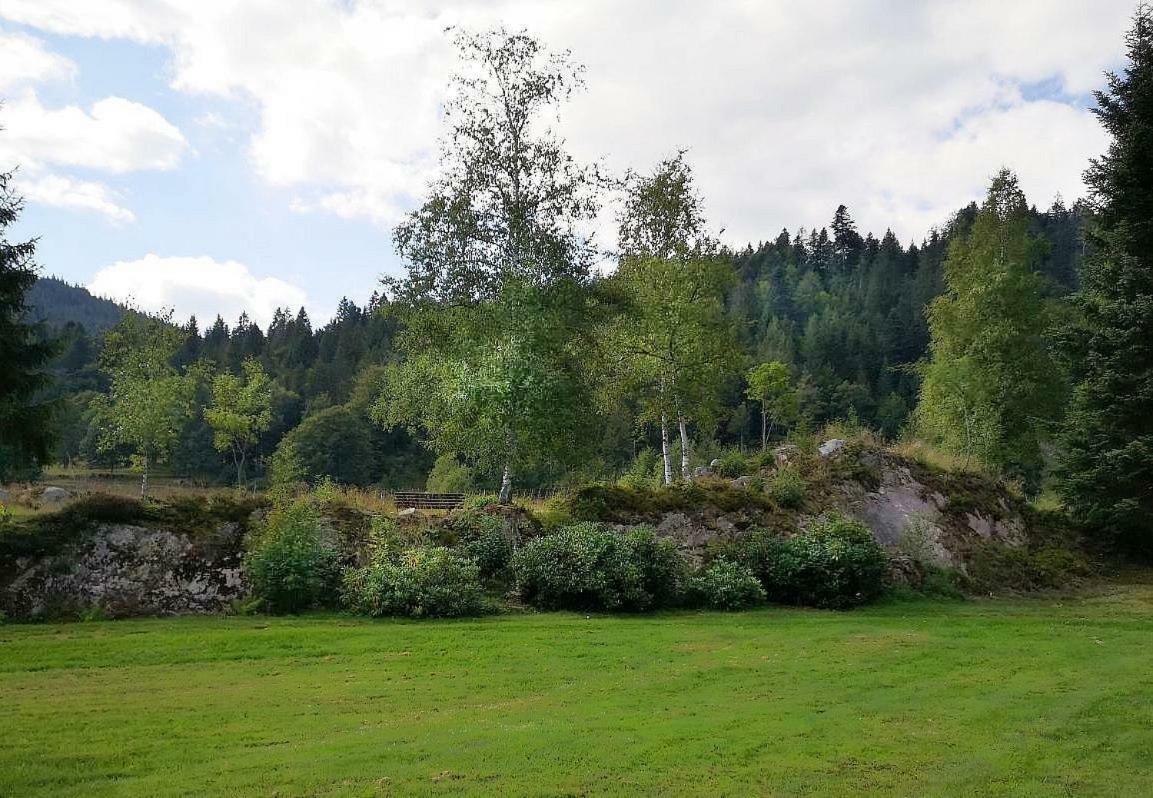 C3 Albmatte-Fewo Sauna, Hallenbad Aussenbecken Massagen Nebenan St. Blasien Exteriér fotografie