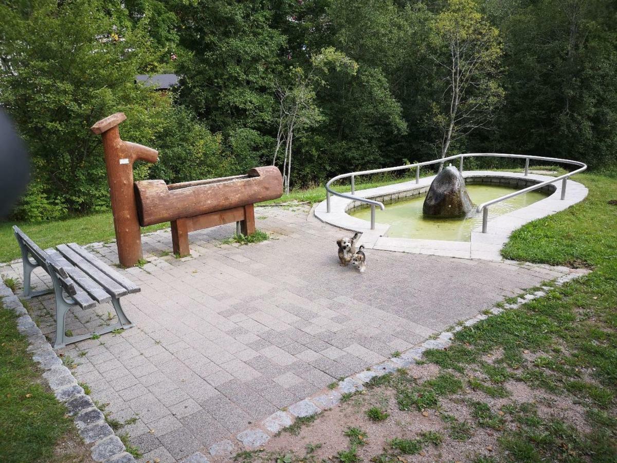 C3 Albmatte-Fewo Sauna, Hallenbad Aussenbecken Massagen Nebenan St. Blasien Exteriér fotografie