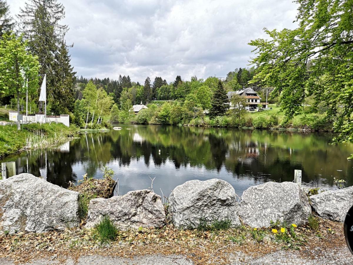 C3 Albmatte-Fewo Sauna, Hallenbad Aussenbecken Massagen Nebenan St. Blasien Exteriér fotografie